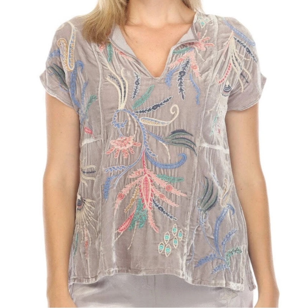 Johnny Was Taupe Velvet Embroidered V-Neck Blouse with Pastel Floral Motif